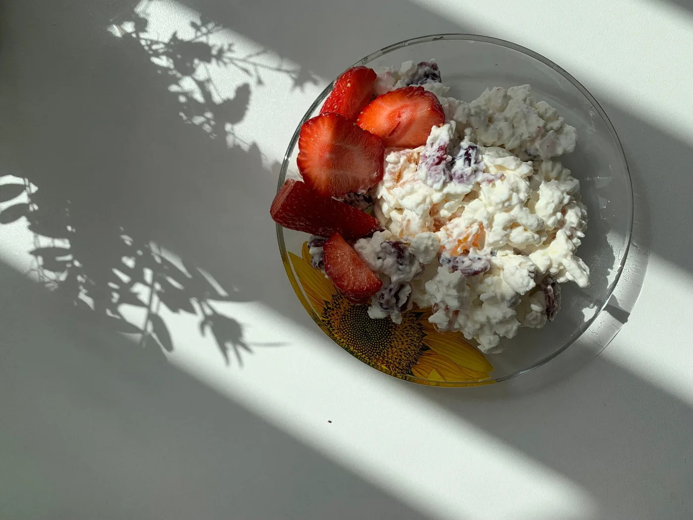A sunlit plate of strawberries and cottage cheese perfect for breakfast.
